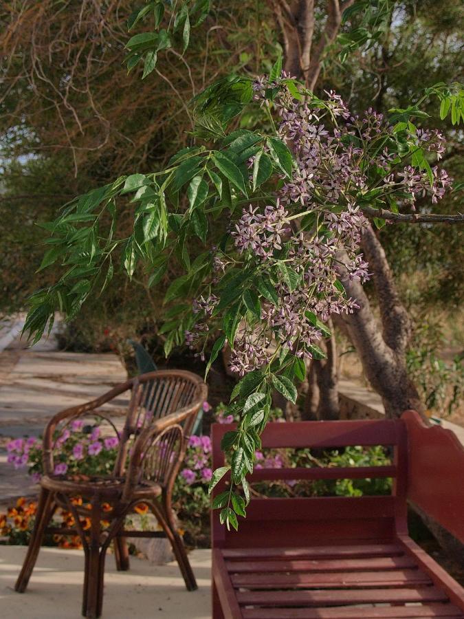Flower And Crafts - The Eco Nature House Monólithos Exterior foto